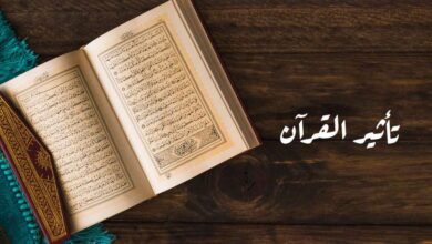 تفسير قول الله: ذرني ومن خلقت وحيدا