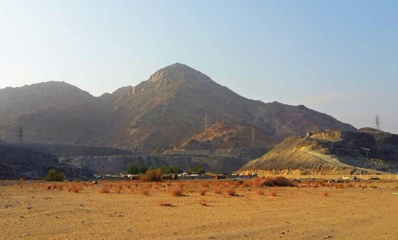 إخوة النبي صلى الله عليه وسلم من الرضاعة