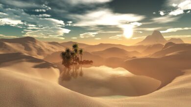 نماذج من عزة التابعين وتابعيهم رضي الله عنهم