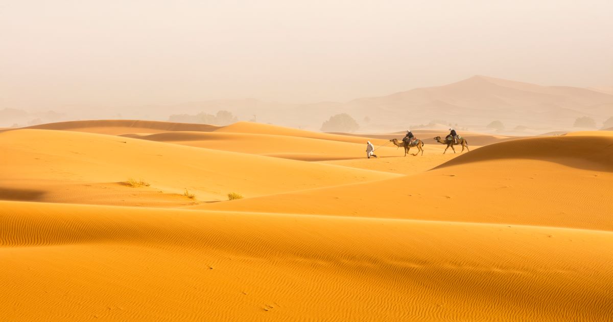 البشارة بالنبي ومولده واسترضاعه عند حليمة السعدية